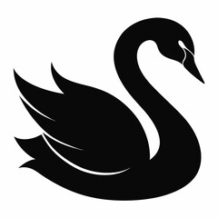 Fototapeta premium Stylish Black Swan Graphic Vector