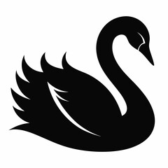 Fototapeta premium Stylish Black Swan Graphic Vector