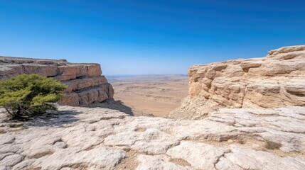 Fototapeta premium Desert canyon vista