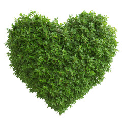 Naklejka premium nature conservation concept. Heart-shaped greenery on a black background.