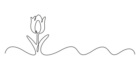 Tulip one line drawing. Abstract flower continuous line. Minimalist contour drawing of tulip. Continuous line drawing of flower tulip. Hand drawn vector illustration
