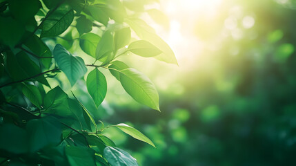 green background with soft light filtering through leaves 