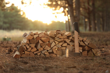 Stack of cut firewood and axe in forest