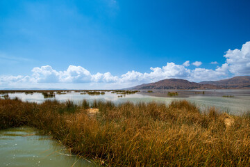 The floating and tourist Islands of lake Titicaca Puno Peru South America