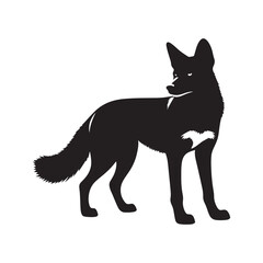 Dingo Silhouette - Minimalist Dingo Vector - Illustration of Dingo. Dingo Animal Design.