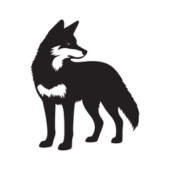 Dingo Silhouette - Minimalist Dingo Vector - Illustration of Dingo. Dingo Animal Design.