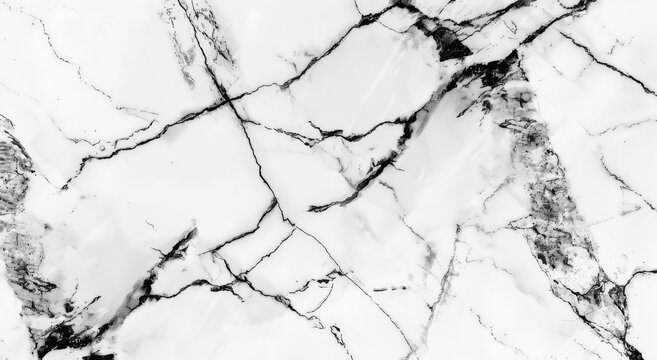 Striking black and white marble texture elegant design element for sophisticated interiors showcasing intricate veining patterns and a high resolution image perfect