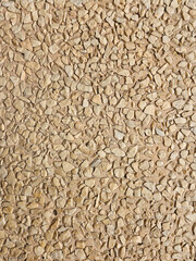 Close-up of a floor covered with small natural beige stones. Perfect for graphic compositions that seek natural elements, realistic textures, or rustic patterns.