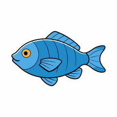 fish on a white background