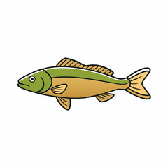 fish on a white background