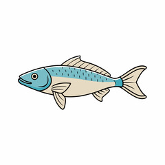 fish on a white background