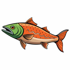 fish on a white background