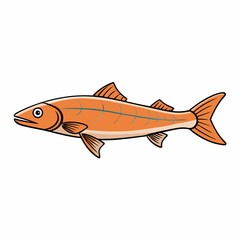 fish on a white background