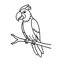 Parrot on a branch, mood of love, suitable for veterinary clinics, all about feeding, care of birds, explanatory articles about birds