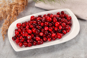 Ripe sweet sour cranberry heap