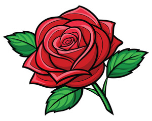 Naklejka premium Red Rose Flower Illustration. Botanical Art Print