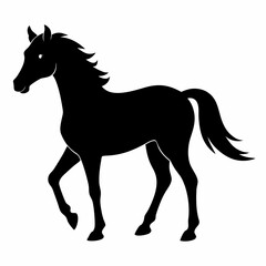 Wild Horse Silhouette Illustration