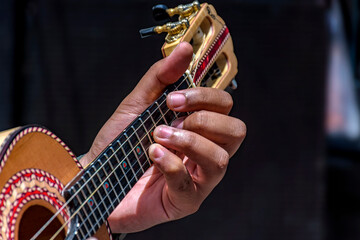 Cavaquinho during a samba performance on the streets of Brazil