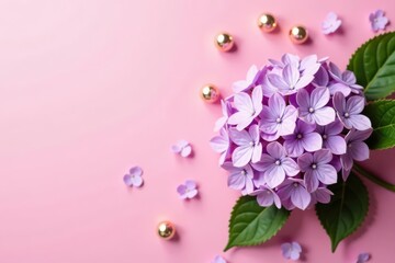 Obraz premium Pastel pink background adorned with a lilac hydrangea Festive floral flatlay , hydrangea, flowers, elegant