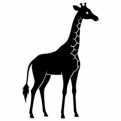 Wildlife Giraffe Silhouette Vector