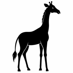 Wildlife Giraffe Silhouette Vector