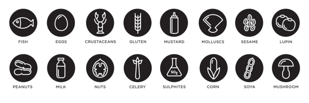 Food allergy icons. Basic allergens and diet line icons vector set. Isolated on white background