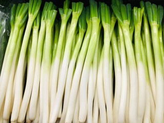 陳列されたたくさんの長ネギ　野菜