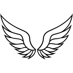 bird wings vector