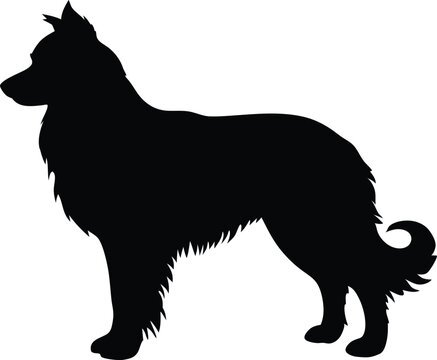 recommend clip art: Australian Shepherd black silhouette vector,Shepherd clip art,dog black vector