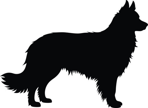 recommend clip art: Australian Shepherd black silhouette vector,Shepherd clip art,dog black vector