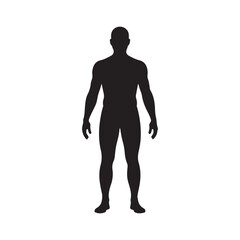 Human body silhouette vector icon set
