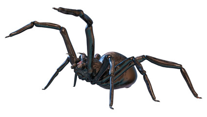 3D Rendering Giant Fantasy Spider on White