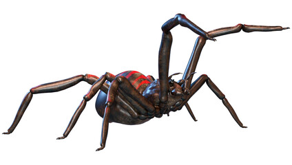 3D Rendering Giant Fantasy Spider on White