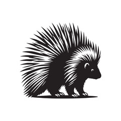 Porcupine Silhouette - Minimalist Porcupine Vector - Illustration of Porcupine - Wildlife silhouette.