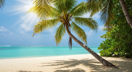 Obraz premium A picturesque view of a palm tree-lined beach, bathed in sunlight. Clear blue water gently laps against the sandy shore