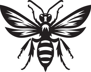 Wasp illustration