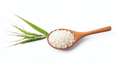 Freshly harvested rice grains displayed on a wooden spoon with green rice stalks on a white background