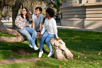 Three friends sitting on a large tree branch in a park, smiling and enjoying the outdoors