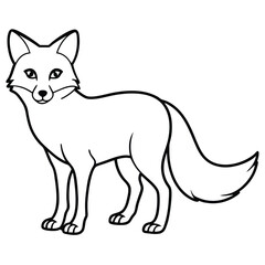 vector illustration of fox