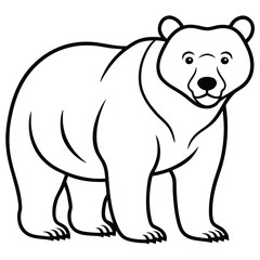Fototapeta premium polar bear vector illustration