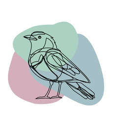 vector illustration of a cartoon bird, silhouette of bird line art  illustration on white background