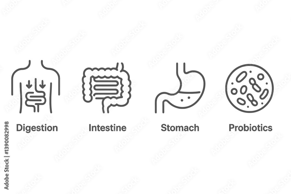 Aufkleber understanding human digestion with vector icons of intestine, stomach, and probiotics representing d