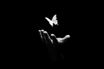 Obraz premium Black and white butterfly flying above open hand