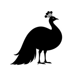 Minimalist black silhouette of a peacock with fan-like tail feathers