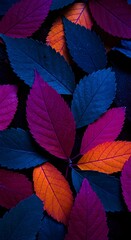 Obraz premium nature wallpaper