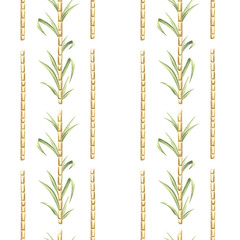 Sugar cane stalks with leaves seamless pattern. Bamboo shoots hand drawn watercolor illustration. Plantation harvest, sweet stems for sugar or rum production. Template in sketch style for food design.