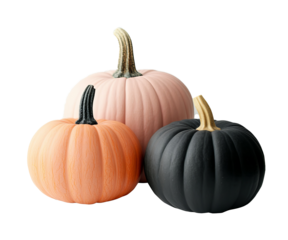 Trio of pastel and dark pumpkins isolated on transparent background for autumn decor. Concept of eco friendly, sustainable Halloween