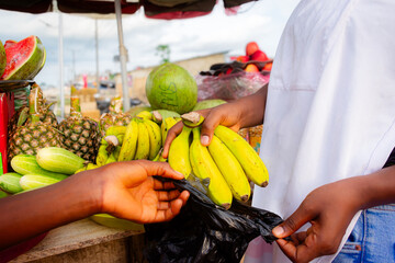 Young African woman selling fruits to costumer, arranging a banana into a plastic bag