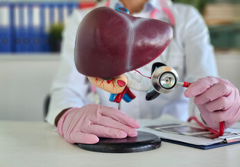 Medical professional examines a liver model with a stethoscope in a clinical setting, showcasing anatomy and healthcare
