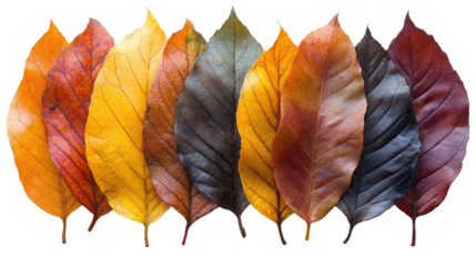 You've reached our limit of messages per hour Please try again later